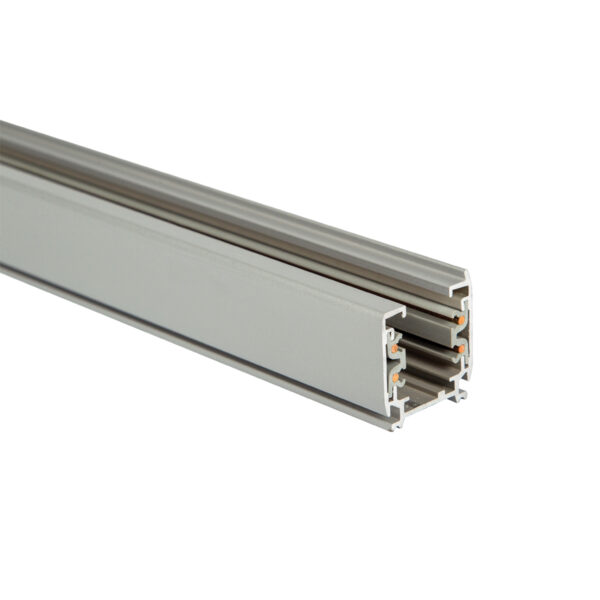 Ράγα τριφασική