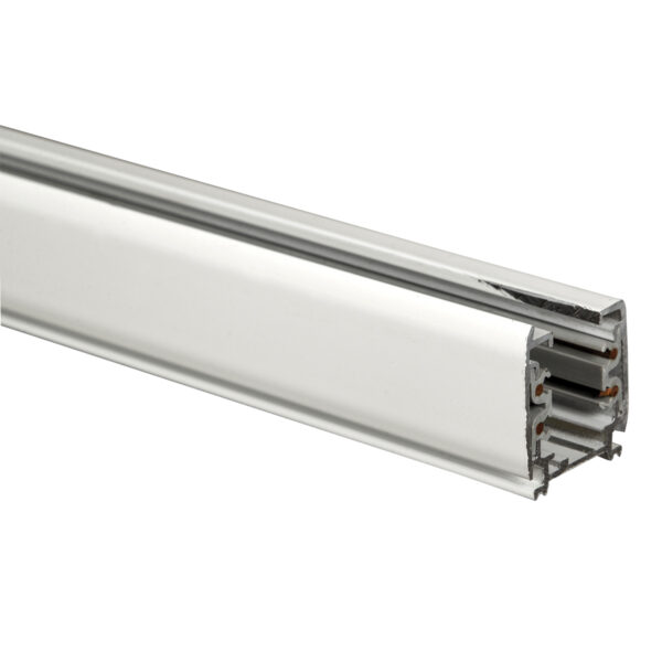 Ράγα τριφασική