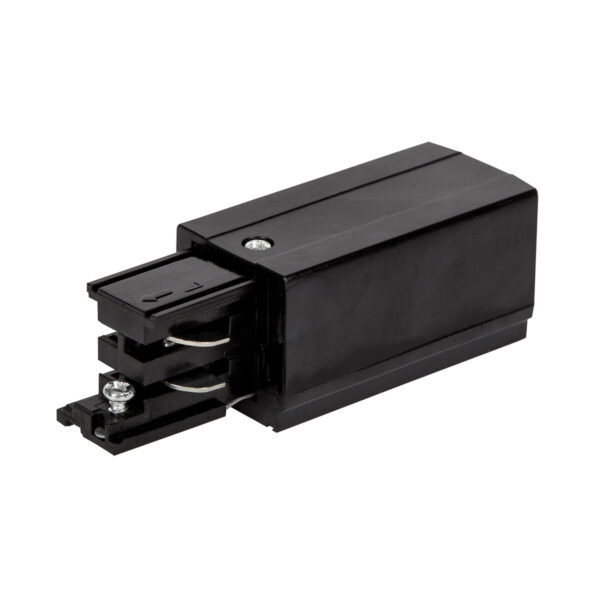 Αριστερός ρευματοδότης ράγας